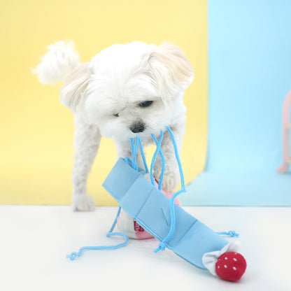 Peanuts Donut Snack Toy