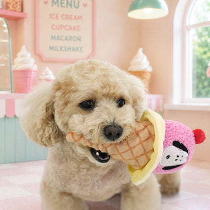 Peanuts Ice Cream Toy