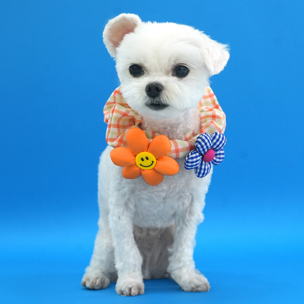 Flower Pet Scrunchie