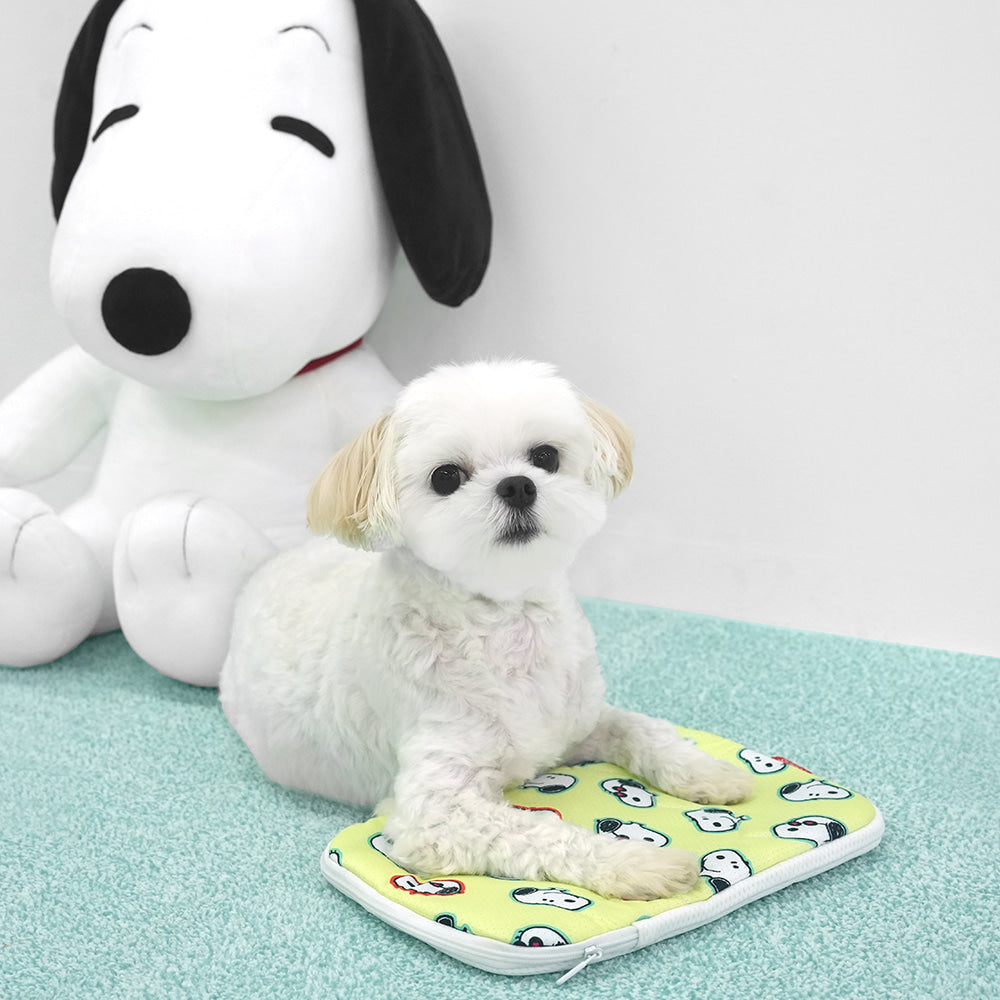 Peanuts Bubble Ice Cool Pouch