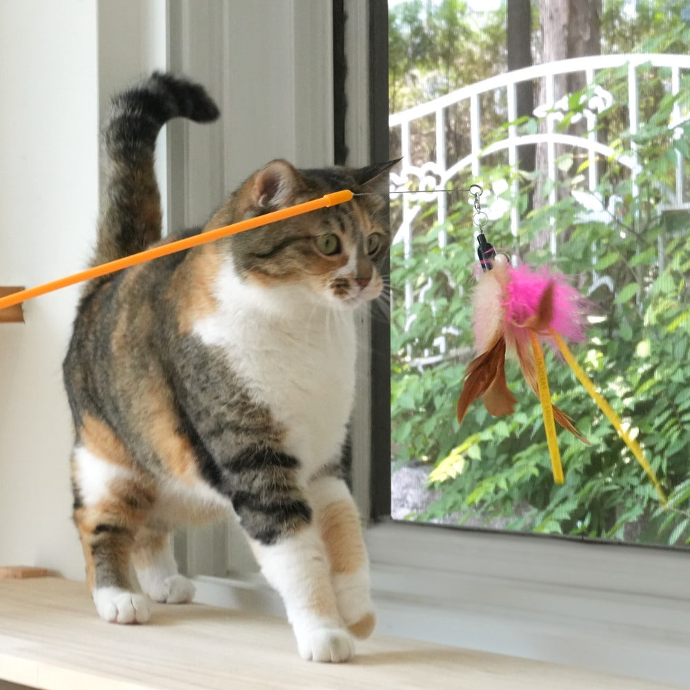 Pariscat Foldable Long Stick Toy