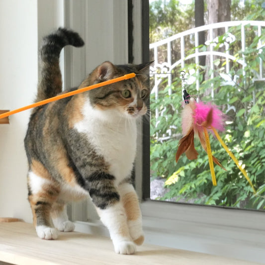 Pariscat Foldable Long Stick Toy