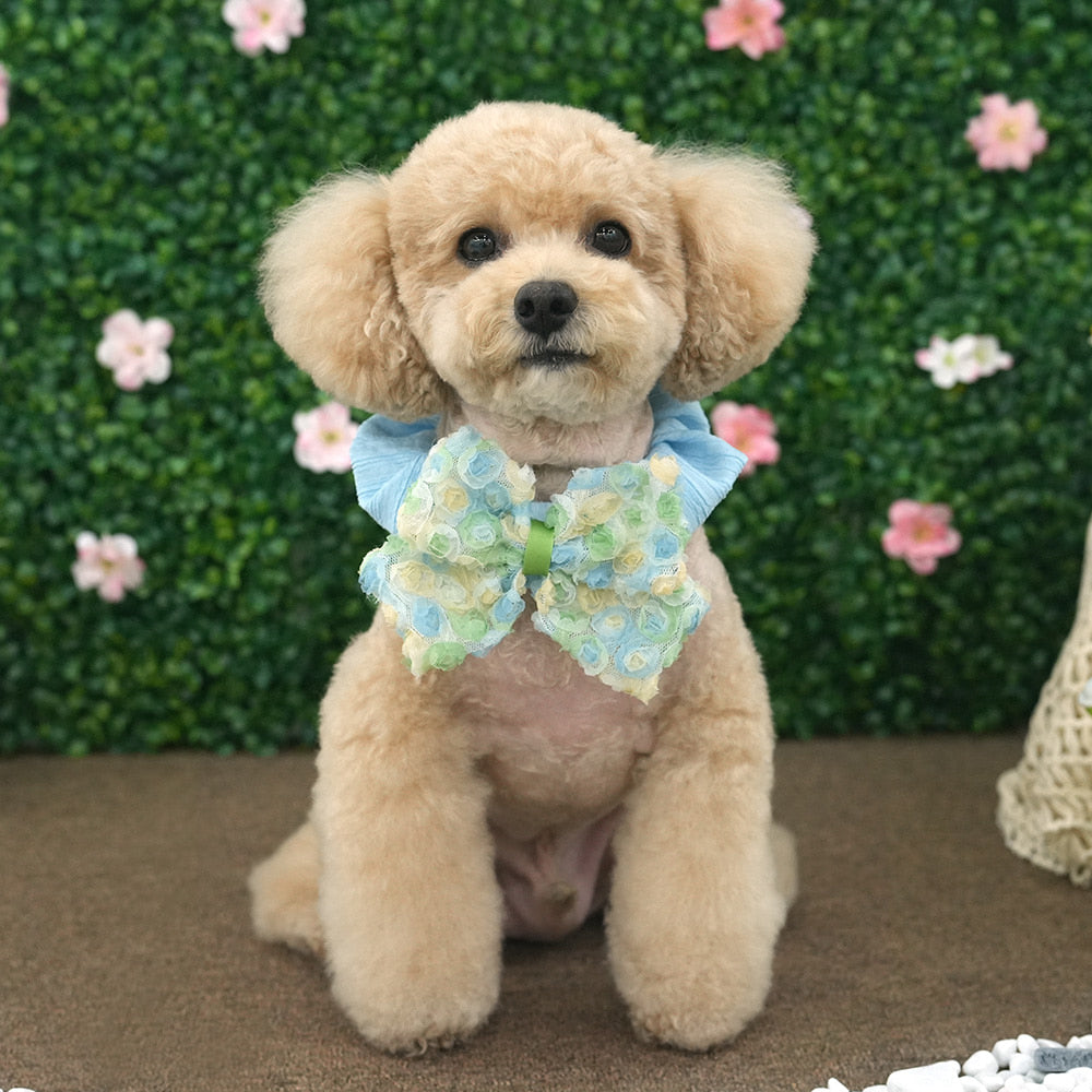 Lovely Pet Scrunchie