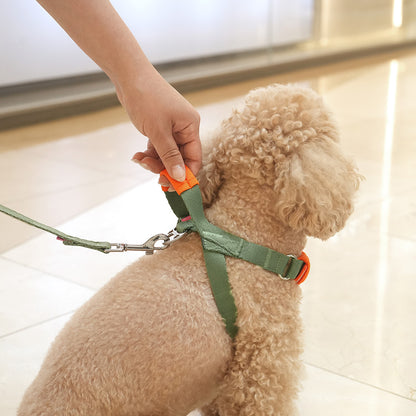 Color Webbing Harness
