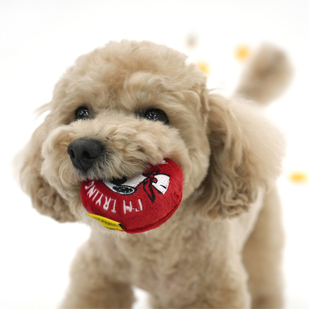 Peanuts 75th Anniversary Friends Snack Toy Set