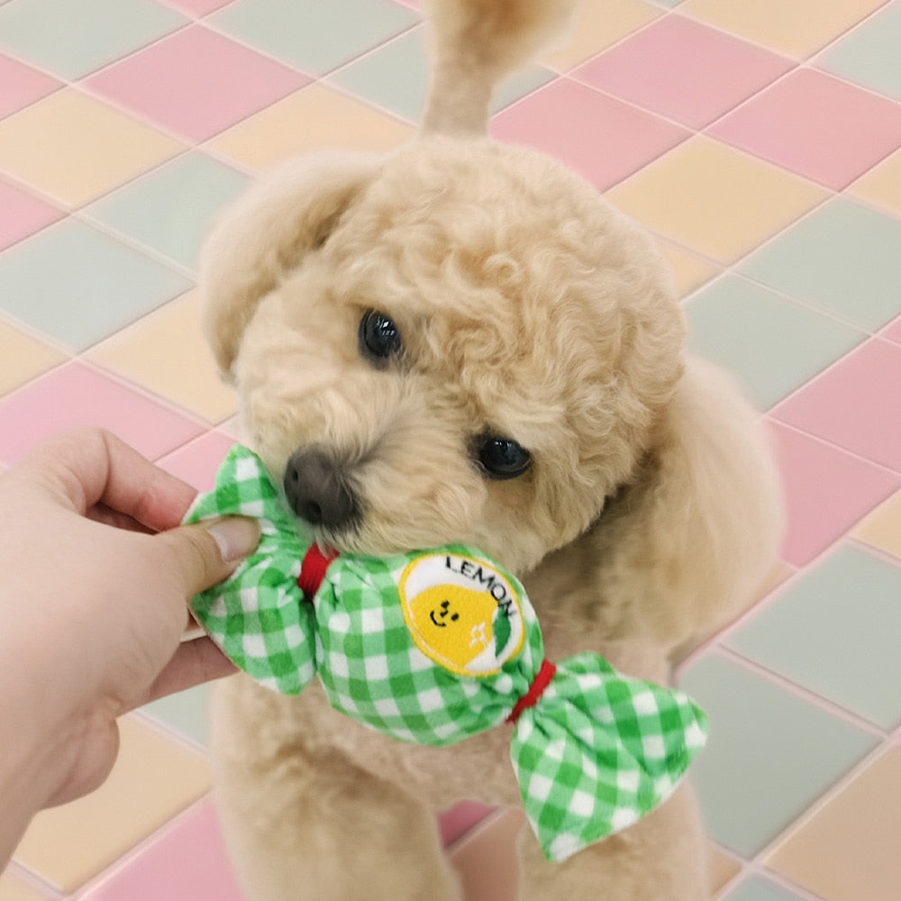 Fruits Candy Ball Toy