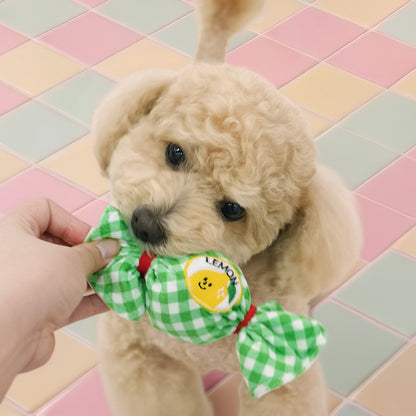 Fruits Candy Ball Toy