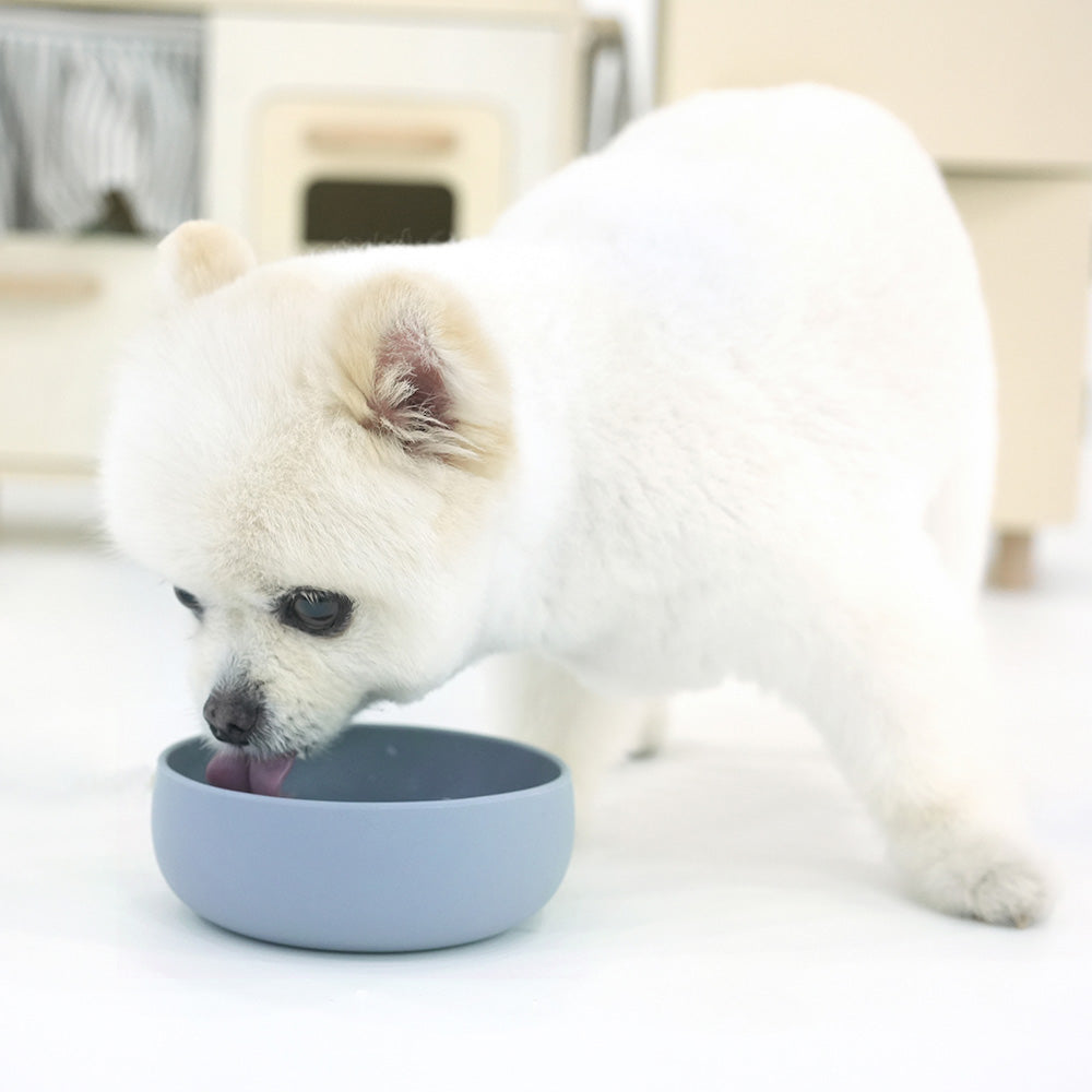 Silicone Pet Bowl