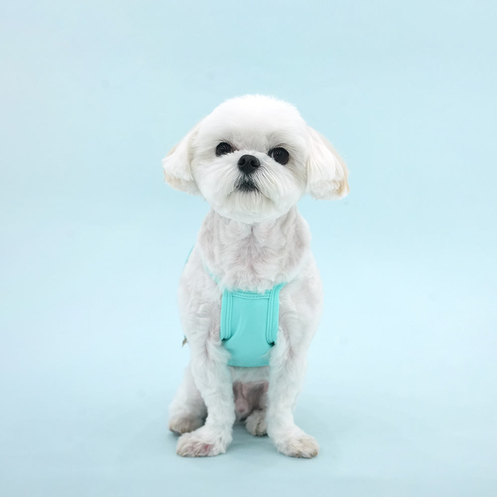 Peanuts Vintage Surfer Cool Crop T