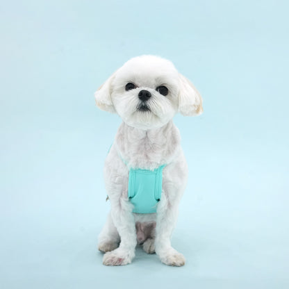 Peanuts Vintage Surfer Cool Crop T