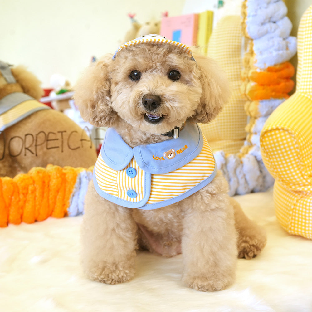 Bear Cape & Ball Cap Set