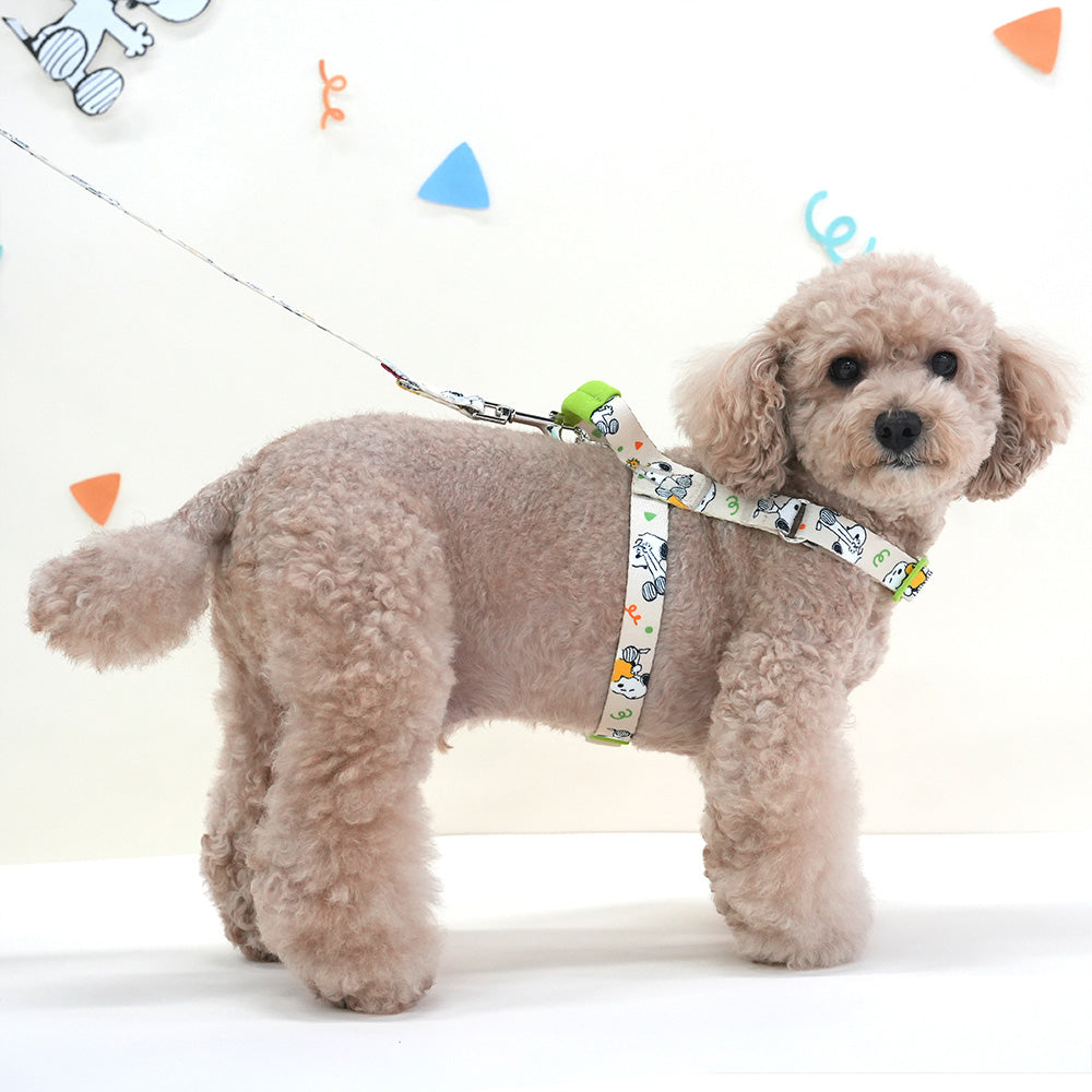 Peanuts Theme Harness