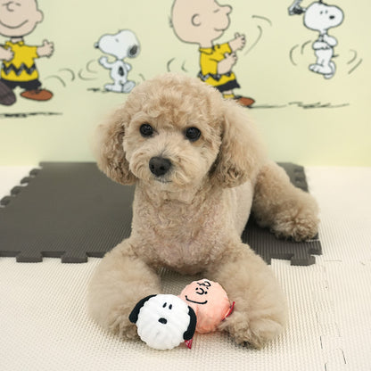Peanuts Peel-Off Ball Toy