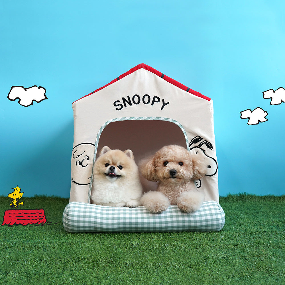 Snoopy Frame House