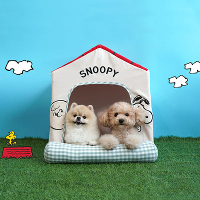 Snoopy Frame House