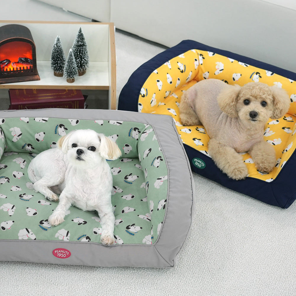 Peanuts Cloud Couch Bed