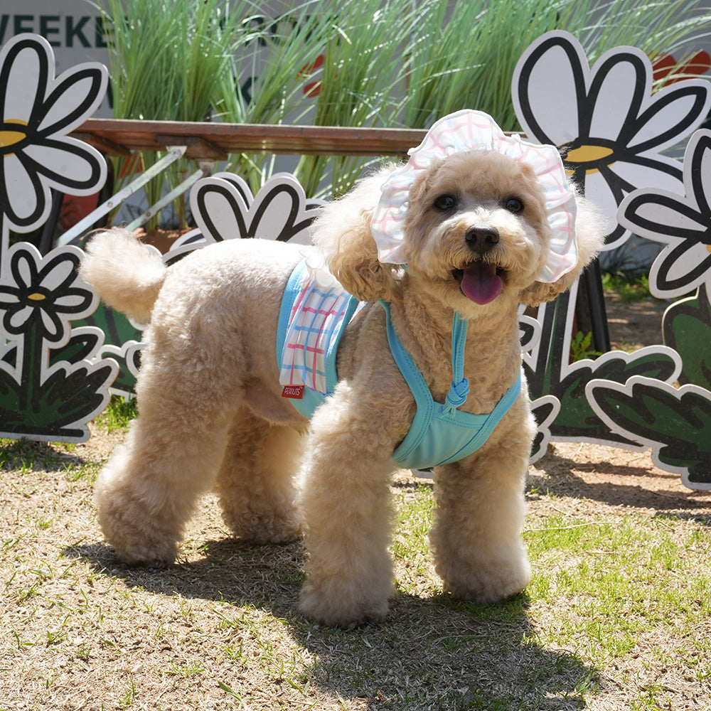 Peanuts Cool Check Rashguard Set