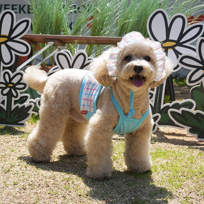 Peanuts Cool Check Rashguard Set