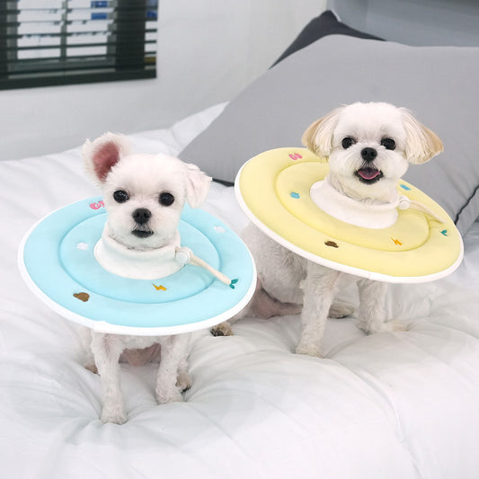 Espoir Sponge Neck Collar