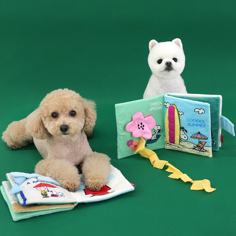 Peanuts Four Seasons Book Toy