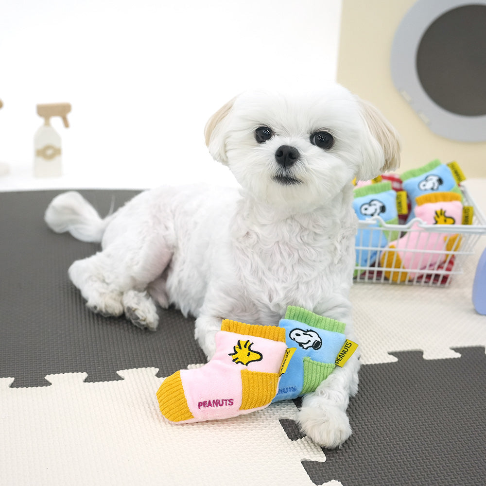 Peanuts Sock Snack Play Toy