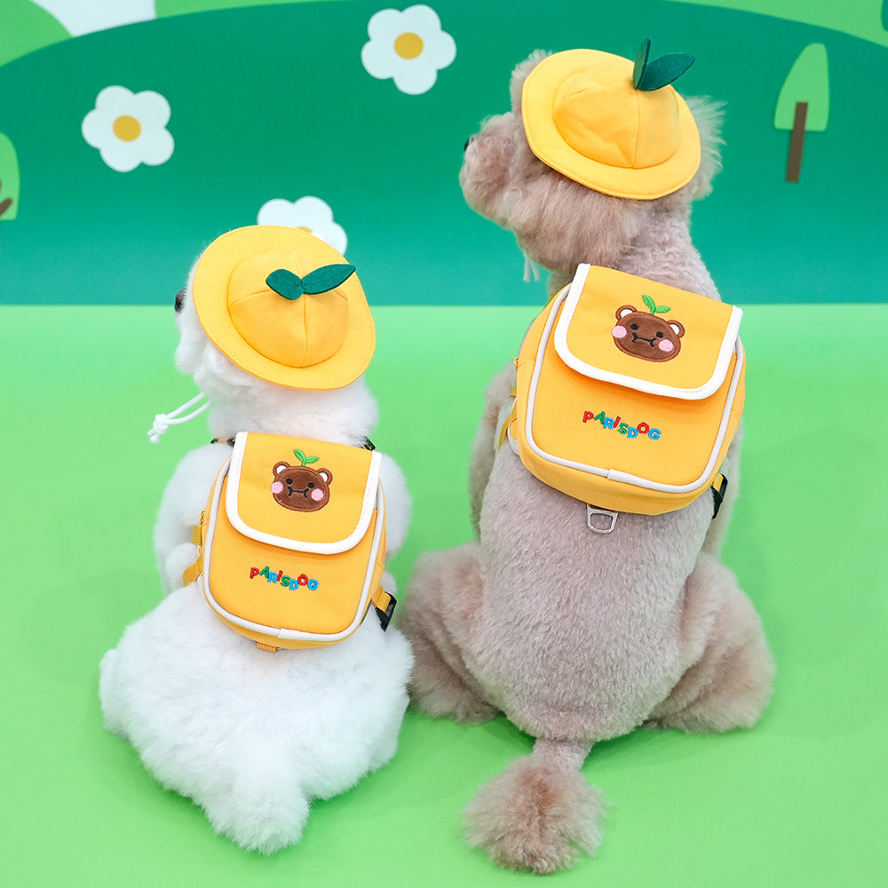 Kindergarten Backpack Harness Set