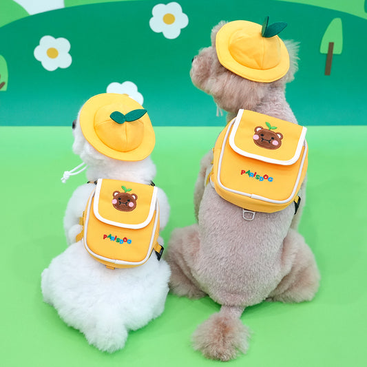 Kindergarten Backpack Harness Set