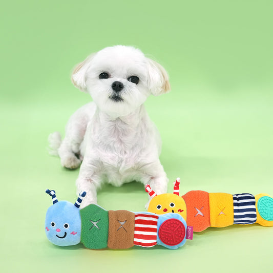 Wiggle Snack Play Toy