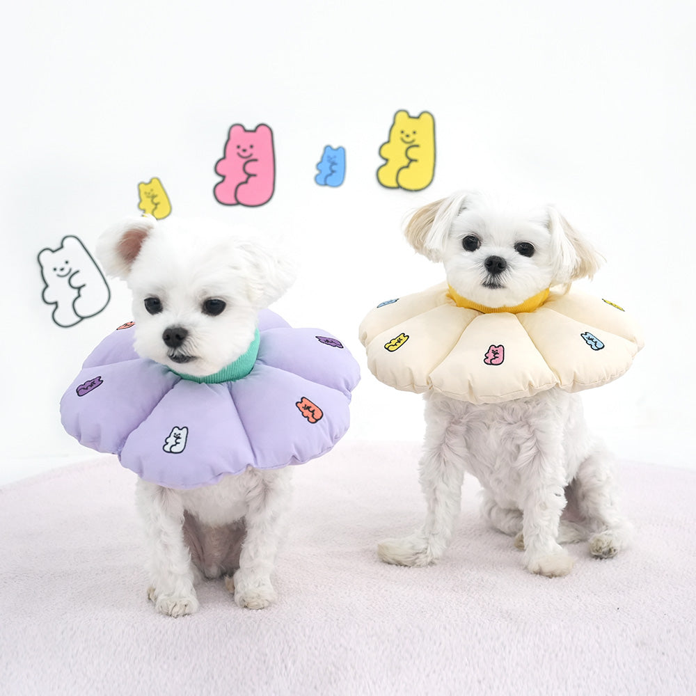 Jelly Bear Neck Collar