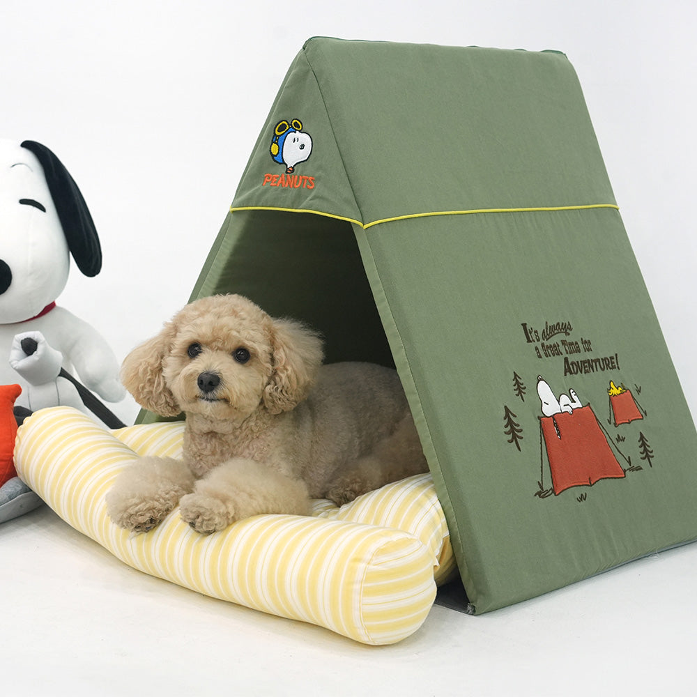 Peanuts Adventure Tent House
