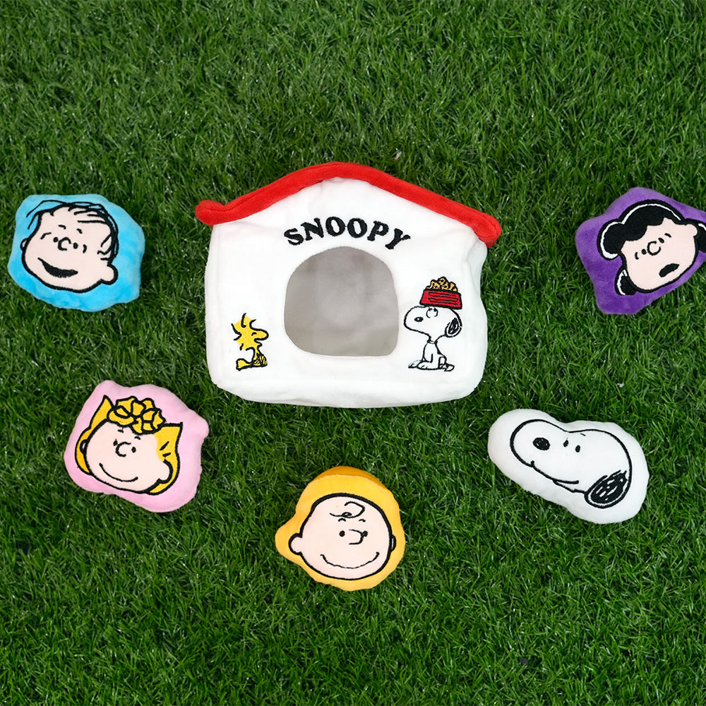 Peanuts House Toy Set