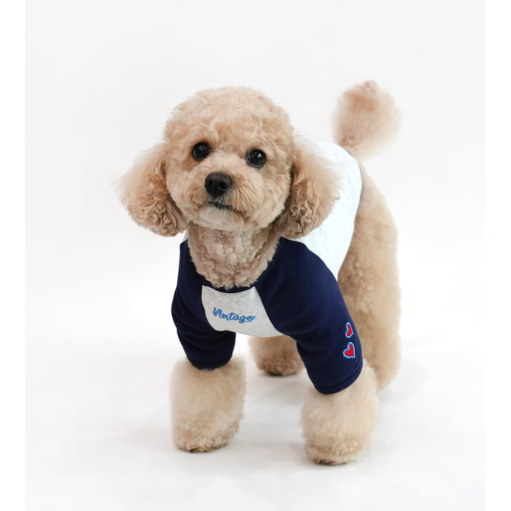 Peanuts Vintage Raglan T Shirt