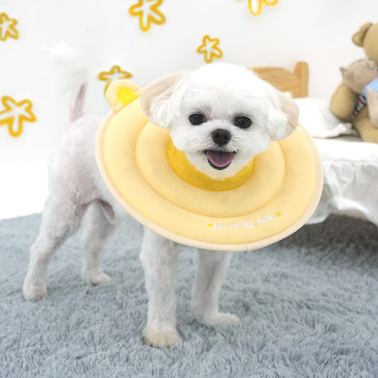 Bear Sponge Neck Collar