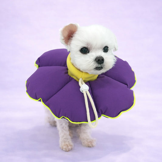 [EVENT] Teletubbies Neck Collar