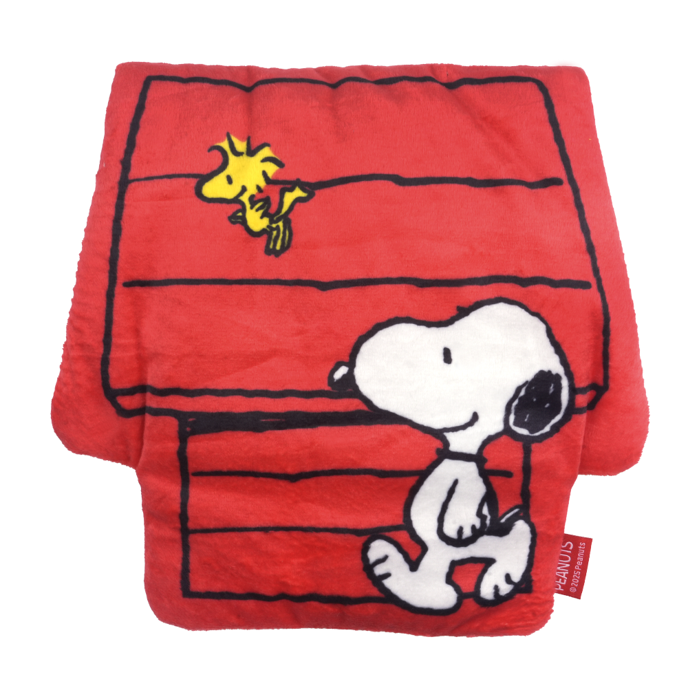 Peanuts Play Mat Toy