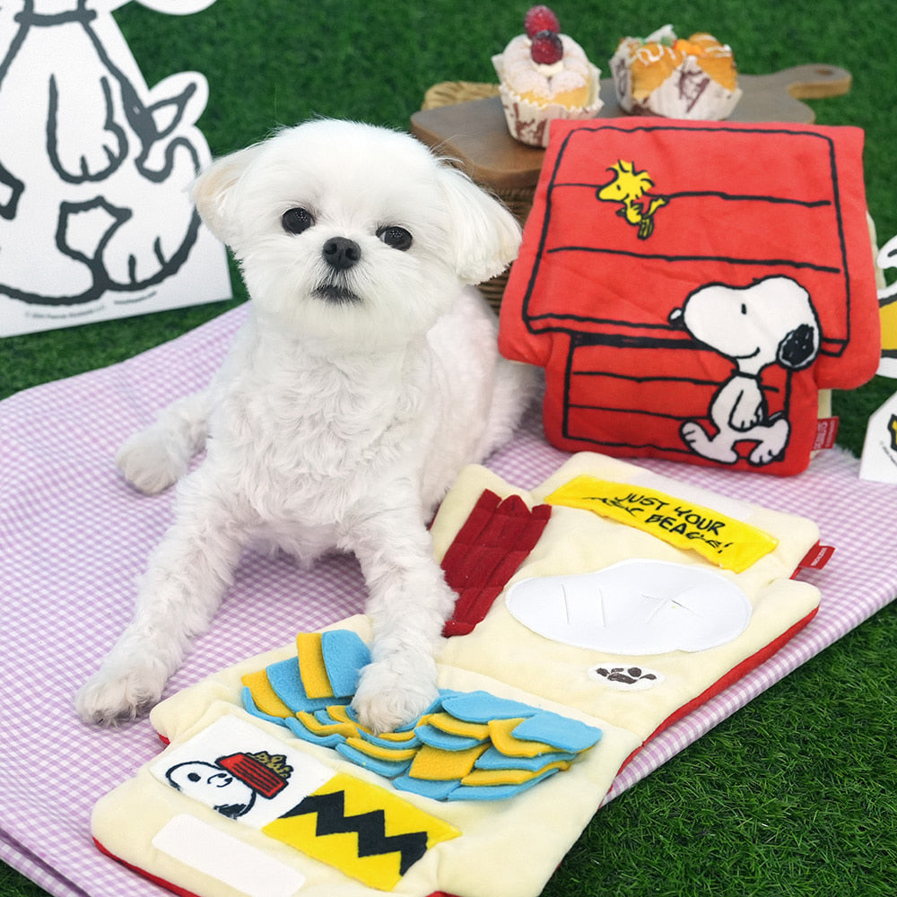 Peanuts Play Mat Toy