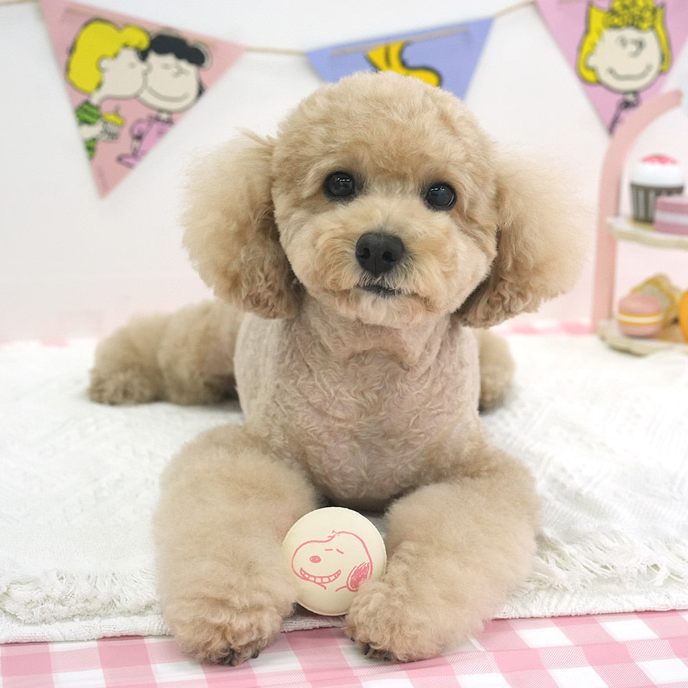 Peanuts Macaroon Latex Toy