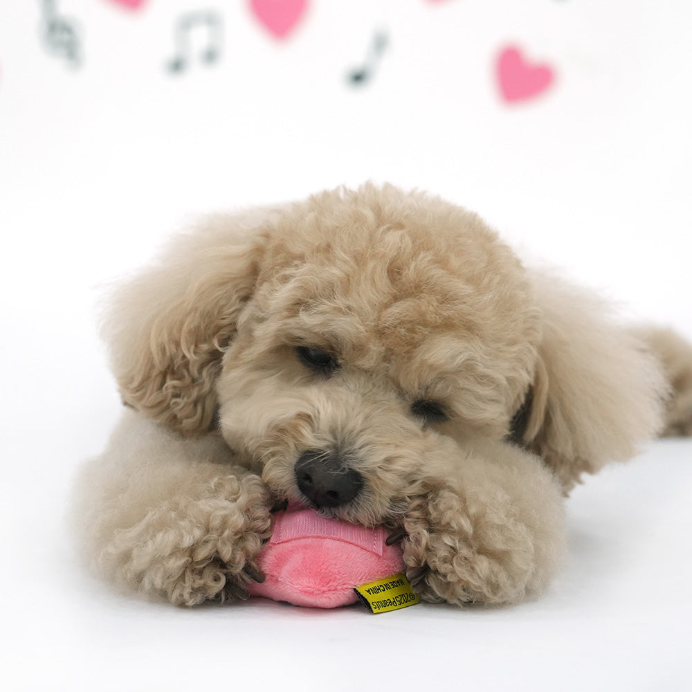 Peanuts 75th Anniversary Friends Snack Toy Set