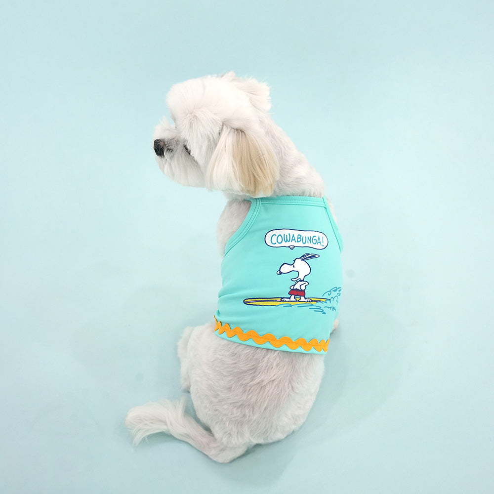 Peanuts Vintage Surfer Cool Crop T