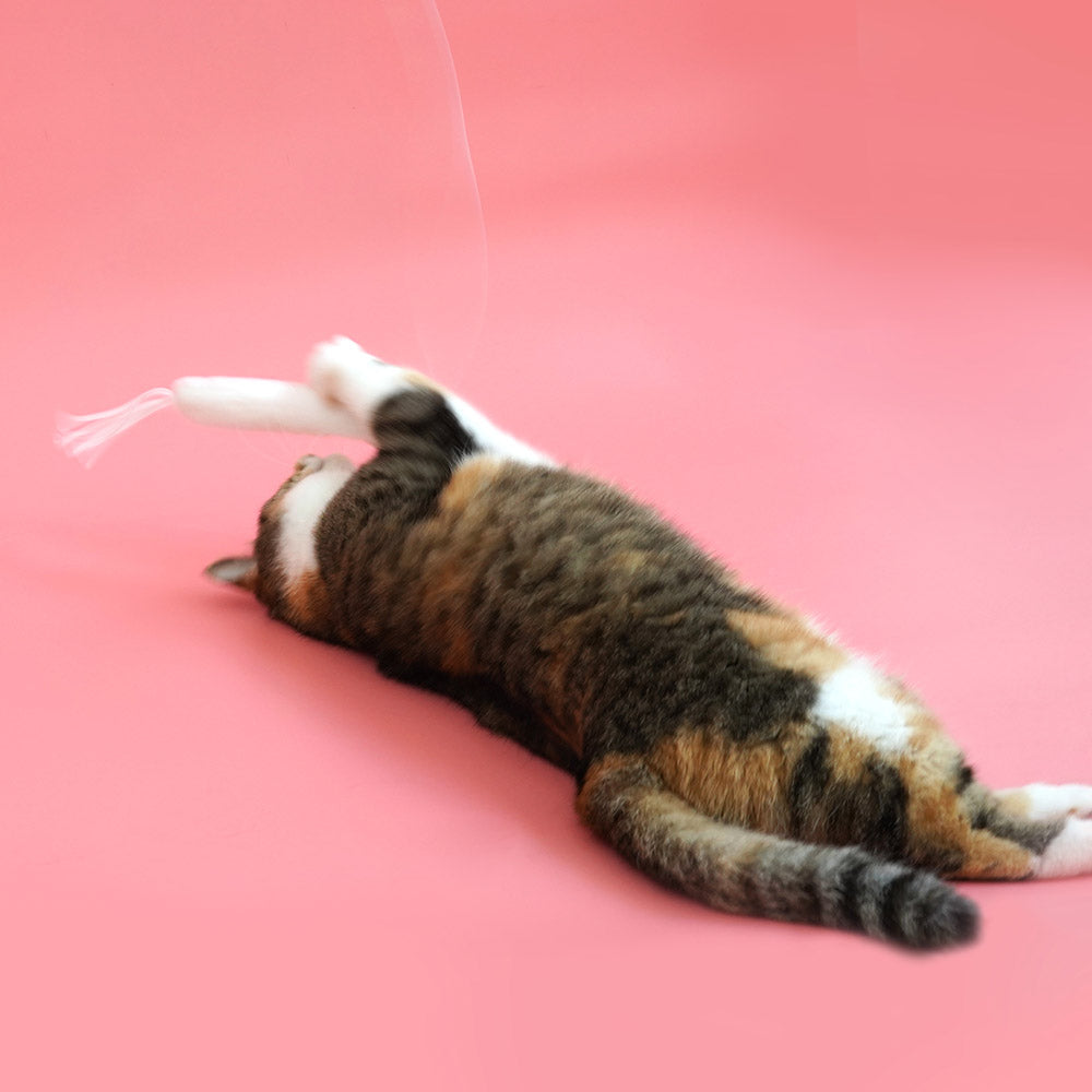 Pariscat Sound Tail Cat Stick Toy