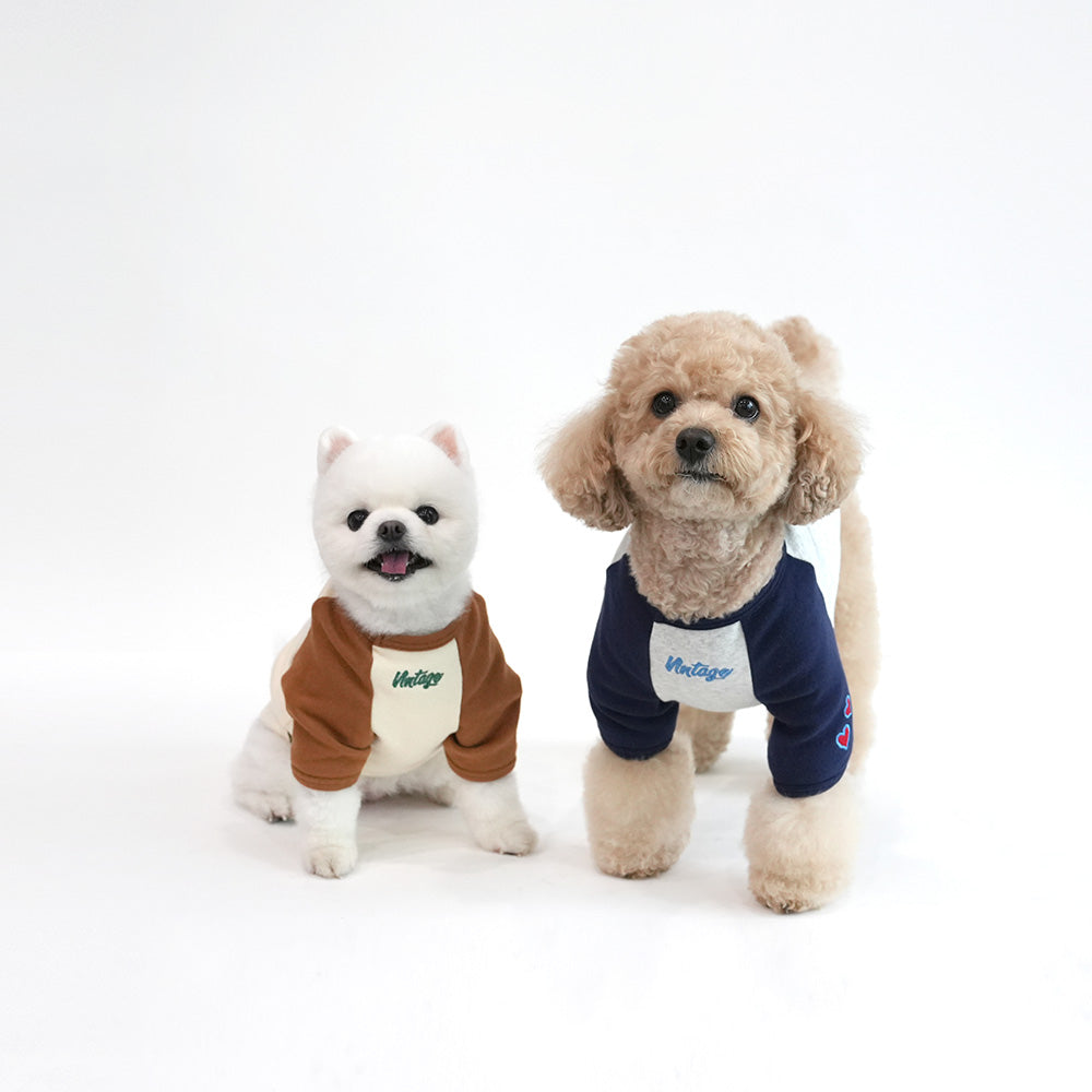 Peanuts Vintage Raglan T Shirt