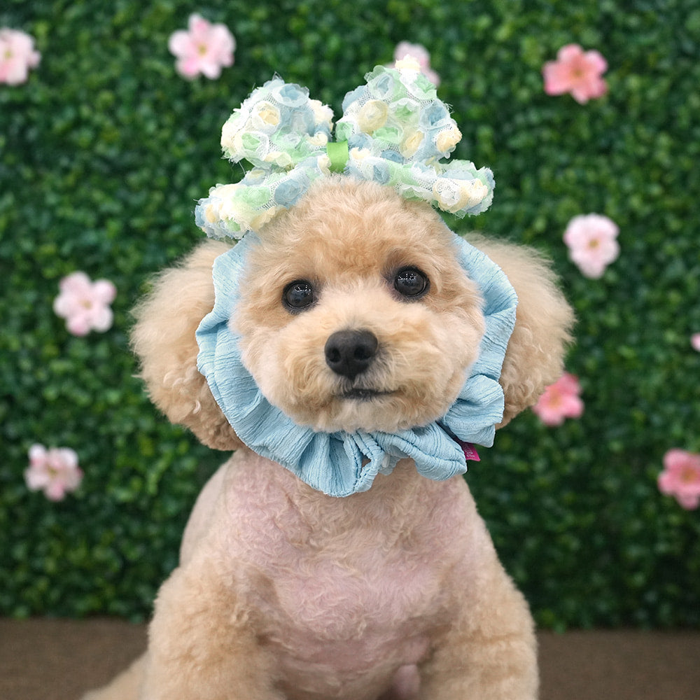 Lovely Pet Scrunchie