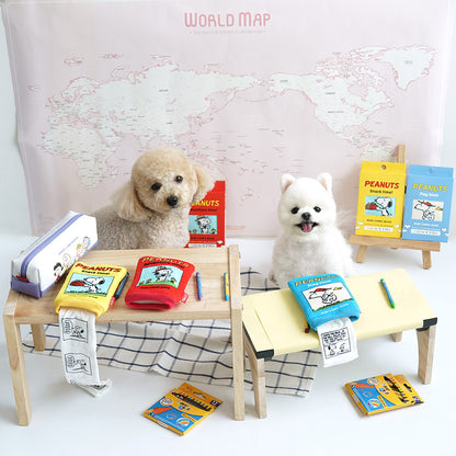 Snoopy Mini Book Pocket Toy